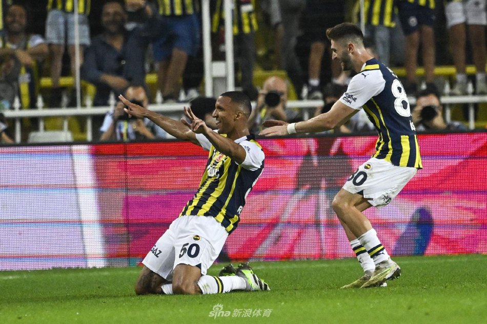 稳健发展的 稳健发展的